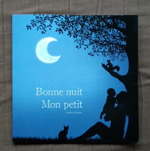 Mon livre Bonne Nuit mon petit, un livre pour les enfants pour aborder le coucher, avec des illustrations très douces