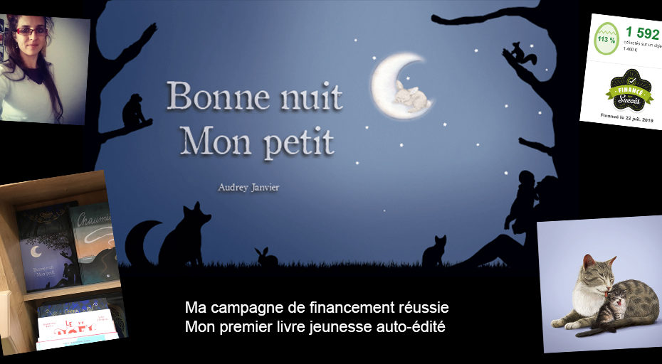 Mon podcast dans la Voix du Side Hustle : mon expérience d'auto-édition et de financement participatif avec Ulule