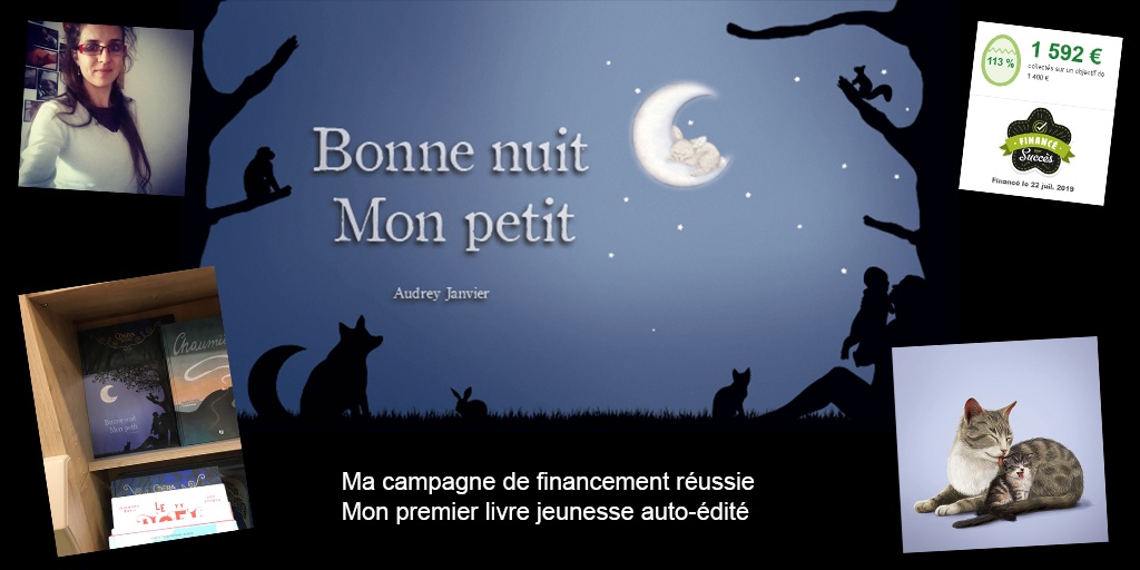 Mon podcast dans la Voix du Side Hustle : mon expérience d'auto-édition et de financement participatif avec Ulule