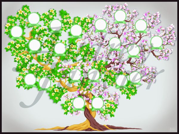 Je réalise votre arbre généalogique sur mesure. Un arbre élégant, original, unique