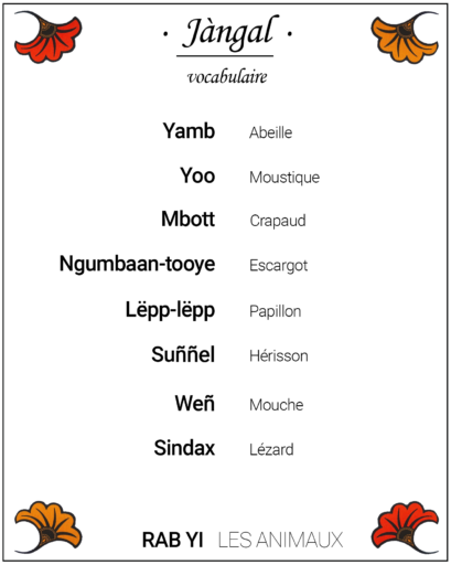Vocabulaire des insectes en wolof - collection Jàngal