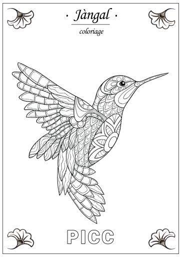 coloriage de l'oiseau picc en wolof, pour les enfants, mandala zen, Jangàl