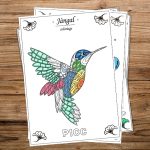coloriage de l'oiseau picc en wolof, pour les enfants, mandala zen, Jangàl