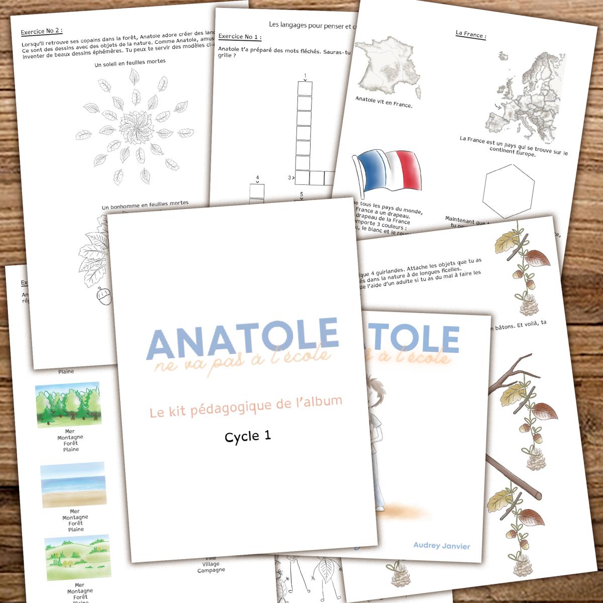 Cahier d'activités pédagogique du livre Anatole ne va pas à l'école, en IEF, niveau maternelle et élémentaire