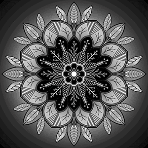 MANDALA
Noir et blanc
Shop sur la boutique Redbbuble