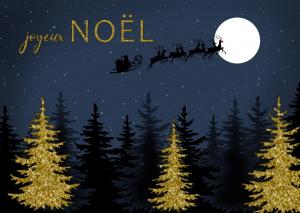 Carte de Noël - illustration d'audrey janvier