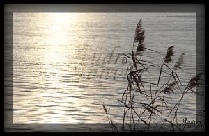 Eau Garonne02©Photo Audrey Janvier