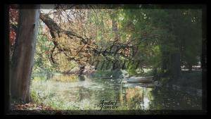 Photo Audrey Janvier Bordeaux Parc public jardin Photographie