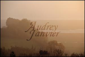 Photo Audrey Janvier Royans Aquitaine Photographie