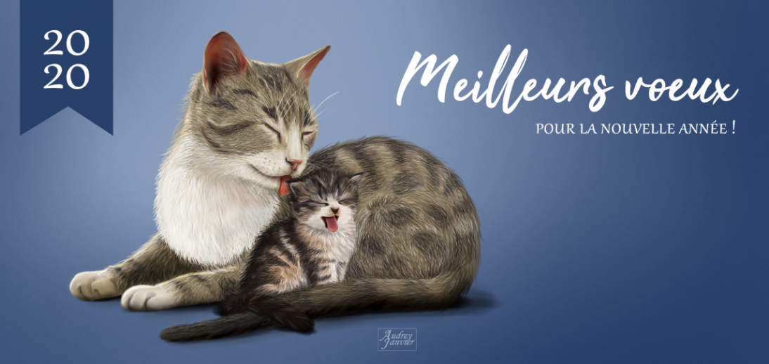 CarteVoeux Chat02